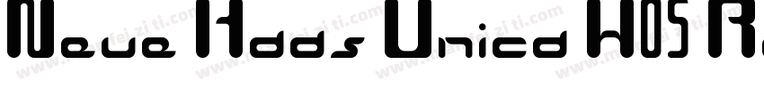Neue Haas Unica W05 Regular字体转换